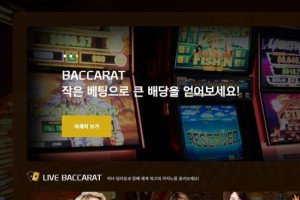 카지노 딜러카지노 입금플러스 및 사이트정보